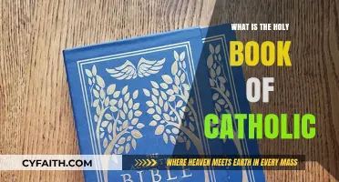 The Catholic Bible: A Sacred Guide
