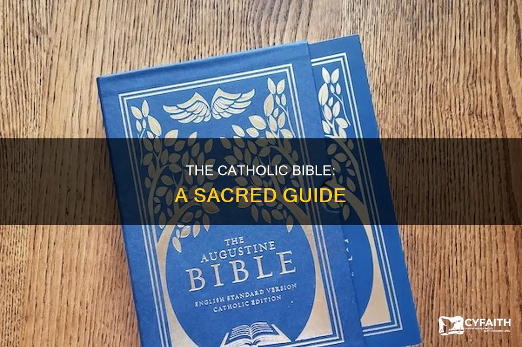 what is the holy book of catholic