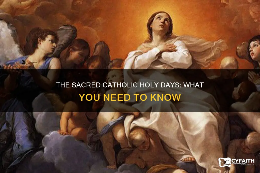 what is the holy day for catholic