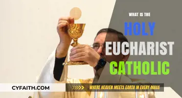 Understanding the Holy Eucharist in the Catholic Church