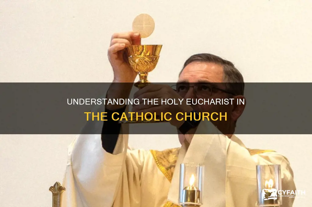 what is the holy eucharist catholic
