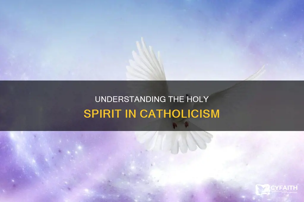 what is the holy ghost catholic