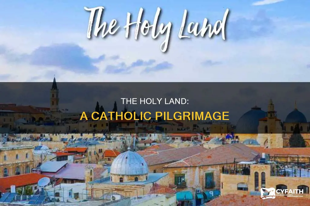 what is the holy land for catholics