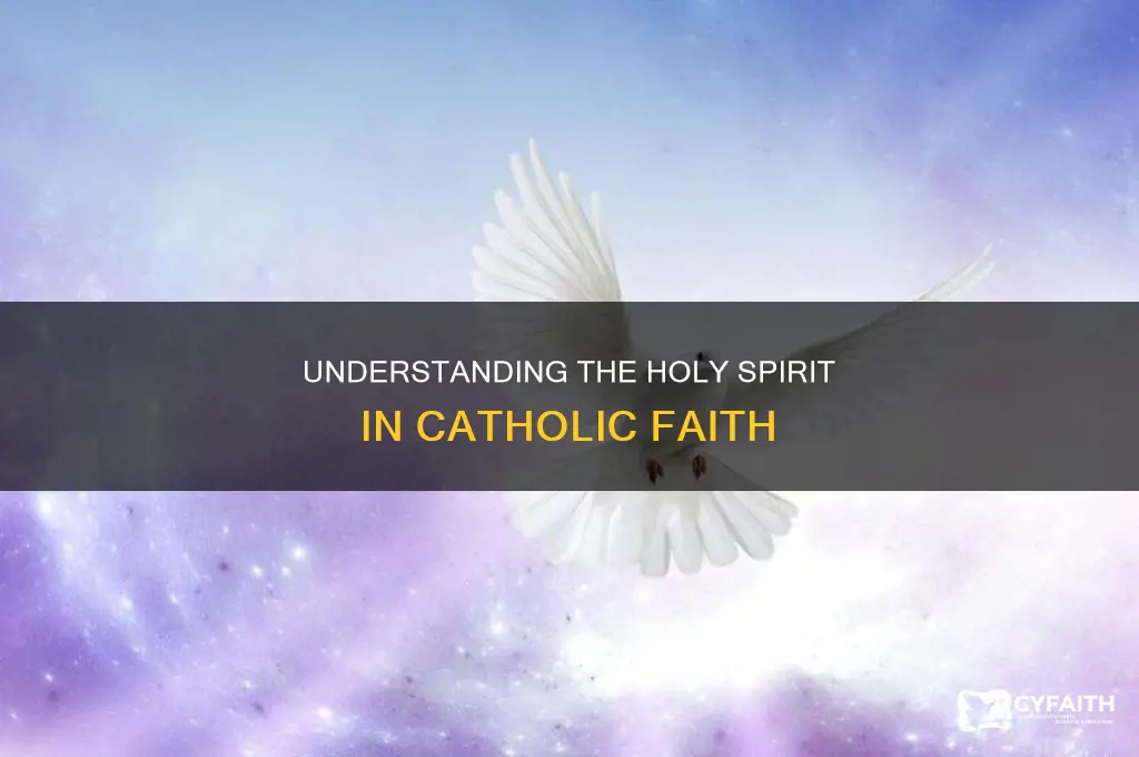 what is the holy spirit catholic definition