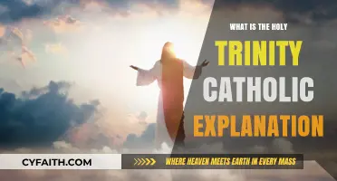 The Holy Trinity: Catholic Understanding of Three-in-One
