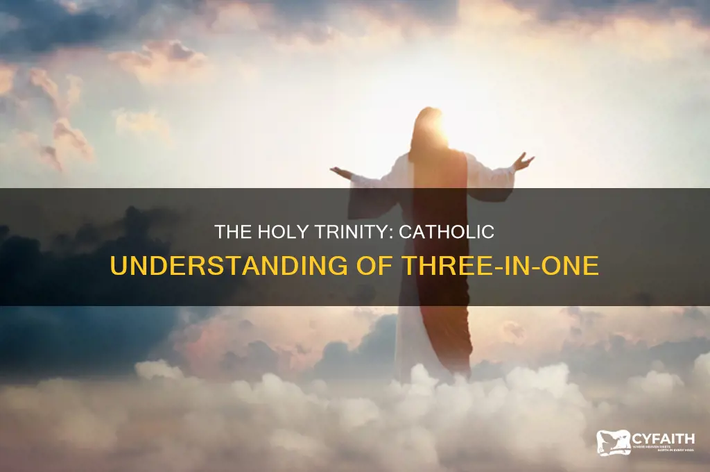 what is the holy trinity catholic explanation