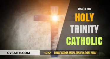 The Holy Trinity: Understanding the Catholic Trinity