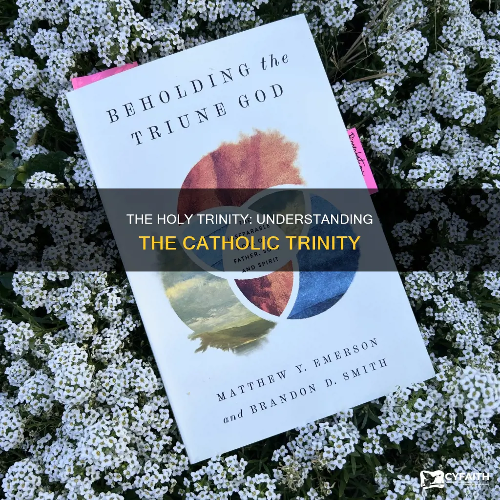 what is the holy trinity catholic