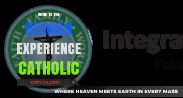 The Human Experience: A Catholic Perspective