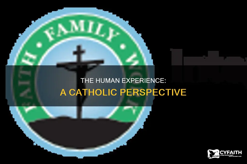 what is the human experience catholic