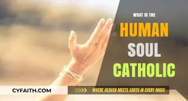 The Human Soul: A Catholic Perspective