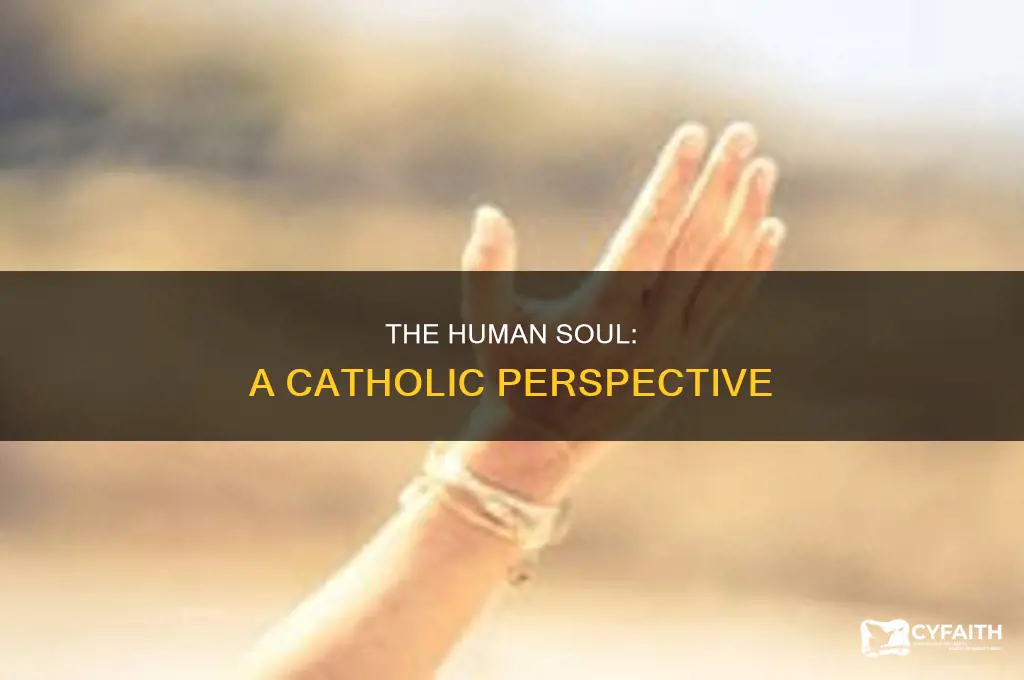 what is the human soul catholic