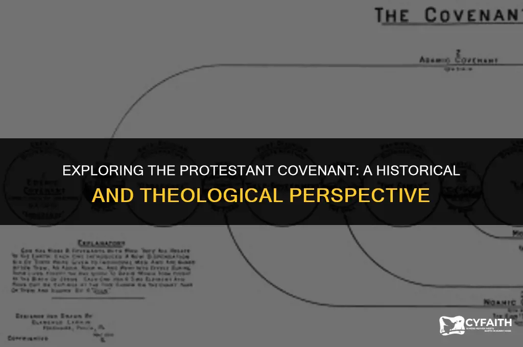 what is the idea of the covenant protestant