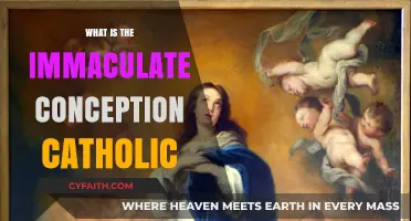 Understanding the Immaculate Conception in Catholic Theology