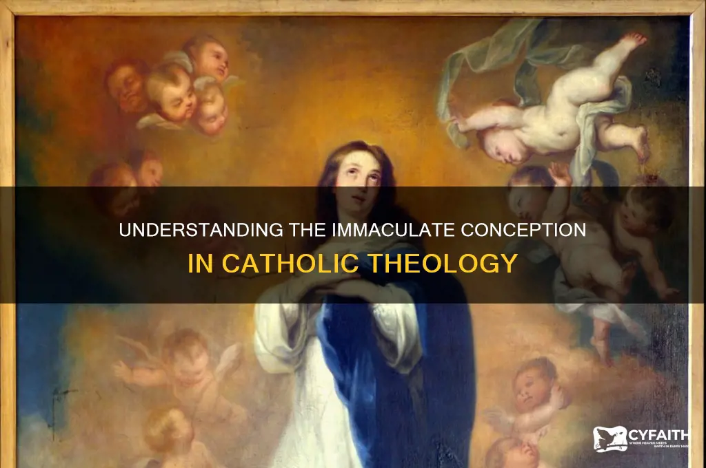 what is the immaculate conception catholic