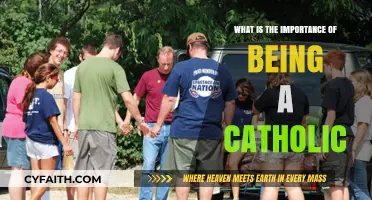 Catholic Faith: A Life of Purpose and Community