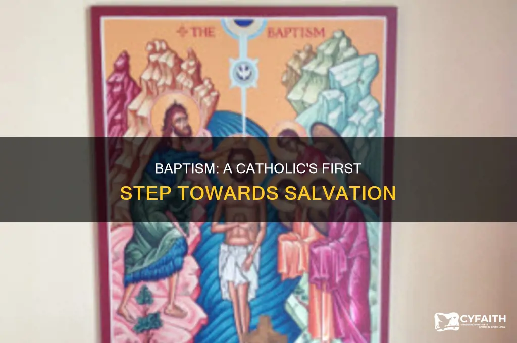 what is the importance of catholic baptism