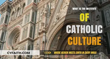 Explore the Institute of Catholic Culture's Mission