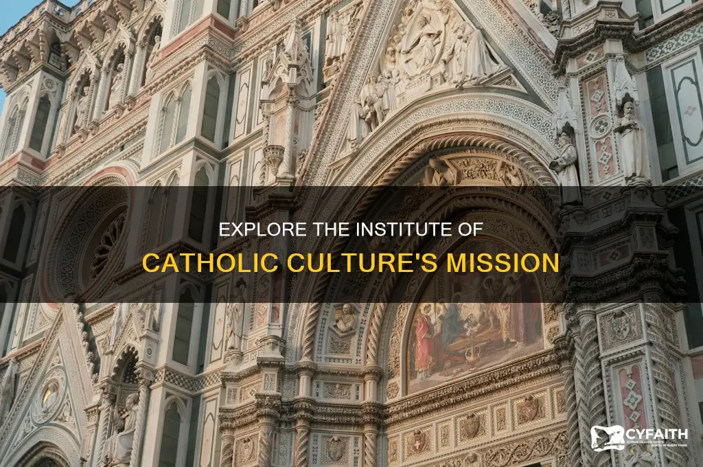 what is the institute of catholic culture