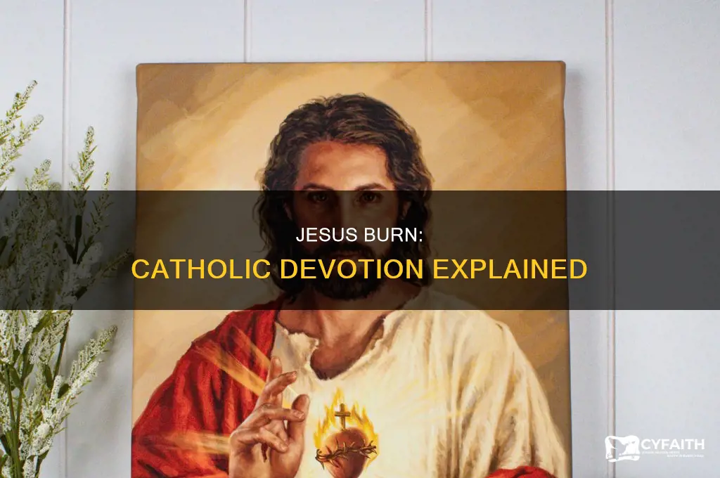 what is the jesus burn in catholic