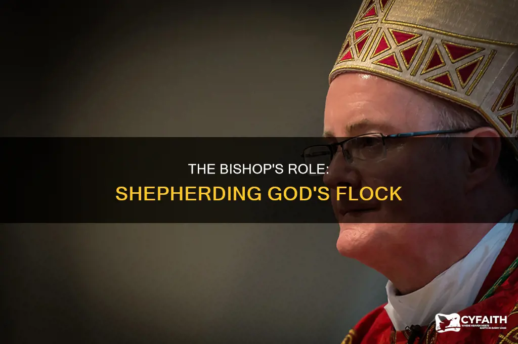 what is the job of a catholic bishop