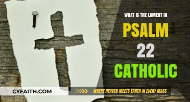 The Lament of Psalm 22: A Catholic Perspective
