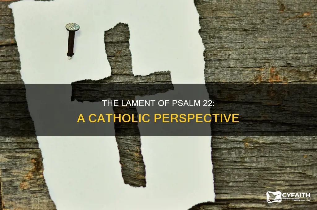 what is the lament in psalm 22 catholic