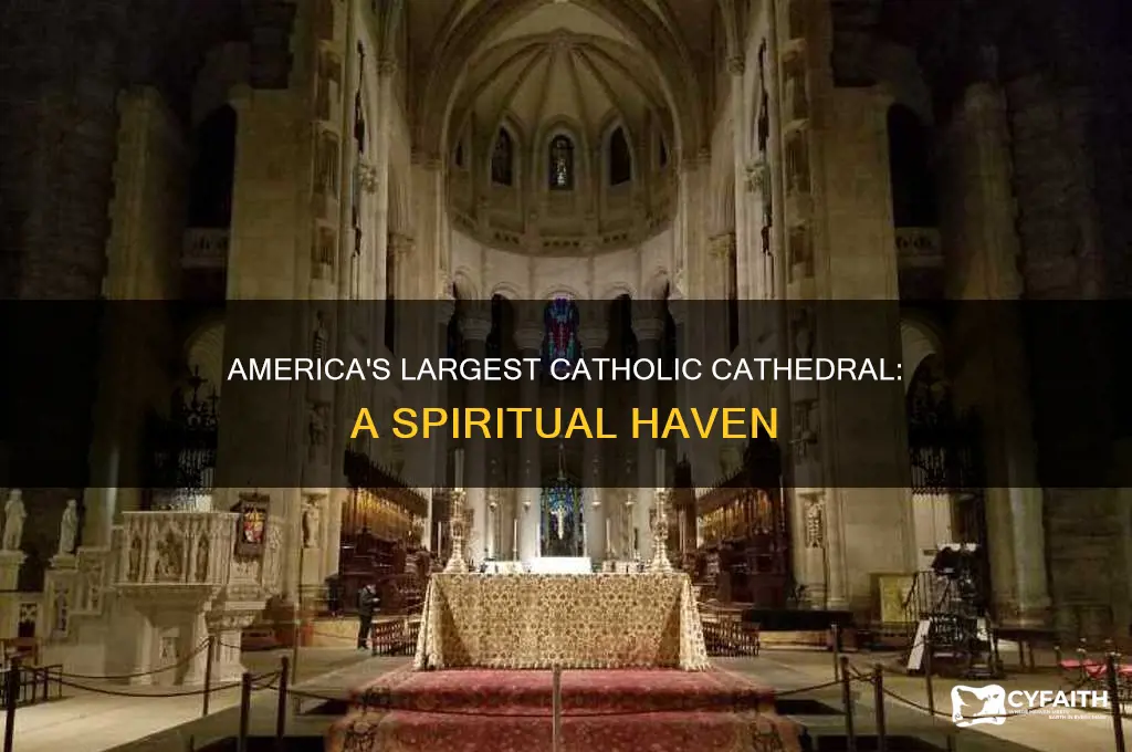 what is the largest catholic cathedral in usa
