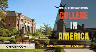 America's Largest Catholic College: A Comprehensive Overview