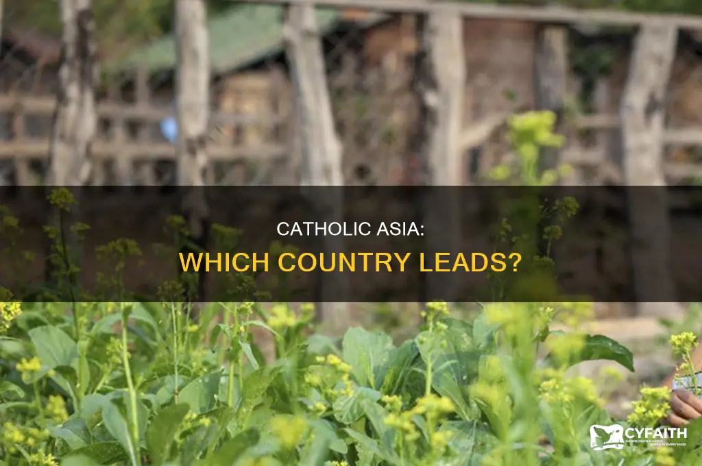 what is the largest catholic country in asia