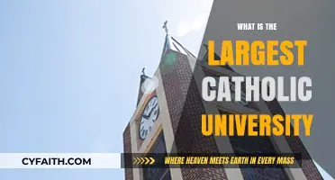 World's Largest Catholic University: A Comprehensive Overview