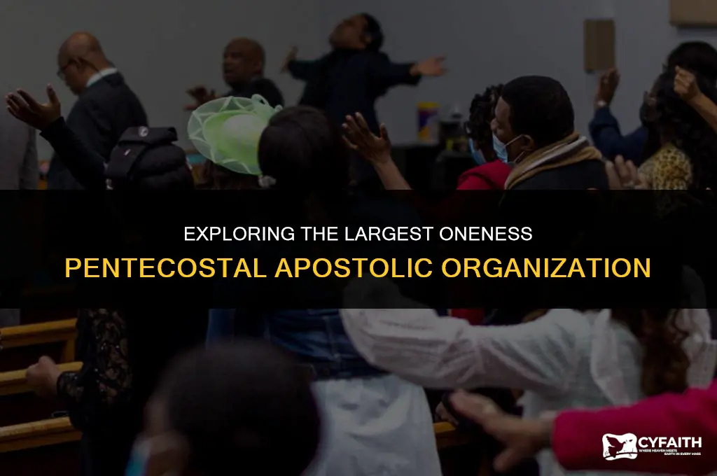 what is the largest oneness pentecostal apostolic organization