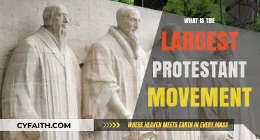 Exploring the Largest Protestant Movement: A Comprehensive Guide