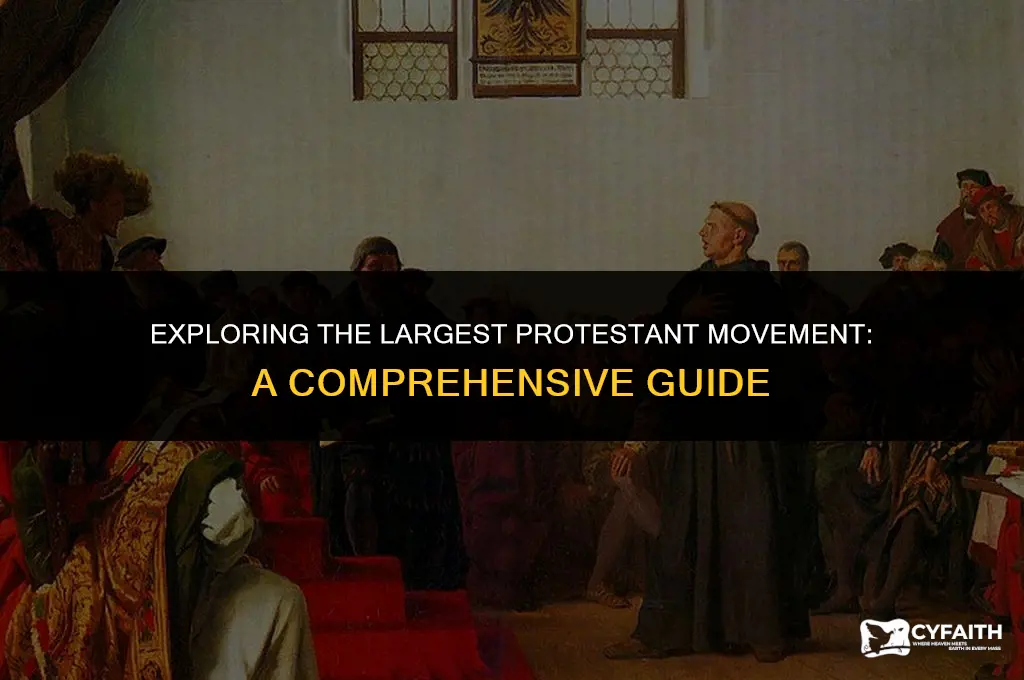 what is the largest protestant movement