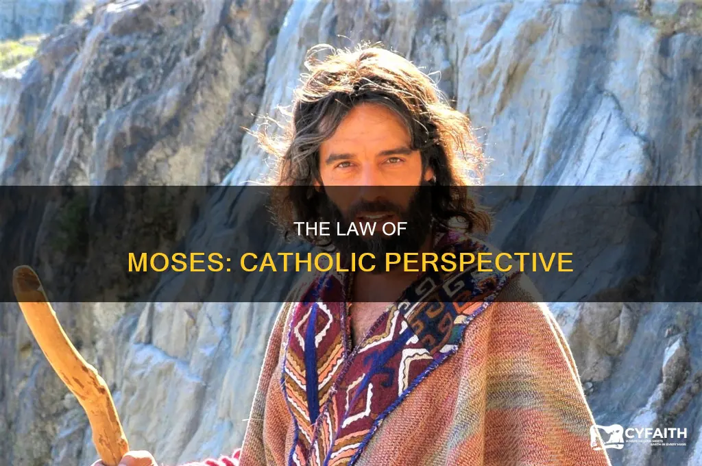 what is the law of moses catholic