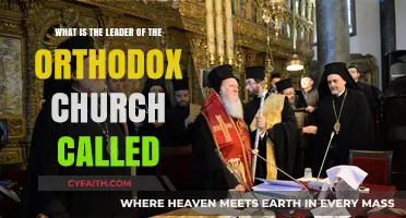 Understanding the Title of the Orthodox Church's Highest Leader