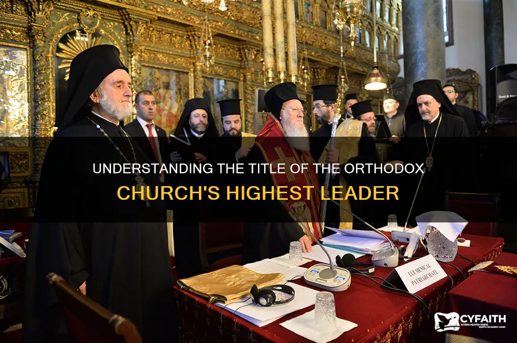 what is the leader of the orthodox church called
