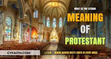 Exploring the Roots: The Literal Meaning of Protestant