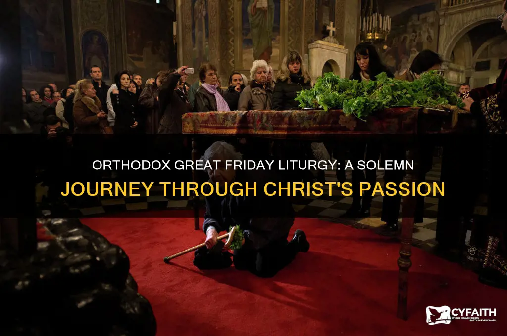 what is the liturgy of orthodox great friday like
