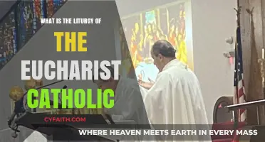 The Eucharist Liturgy: A Catholic Guide