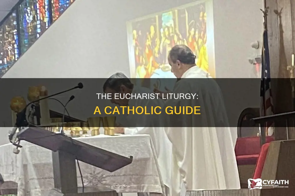 what is the liturgy of the eucharist catholic