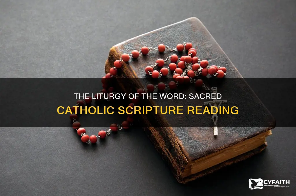 what is the liturgy of the word catholic