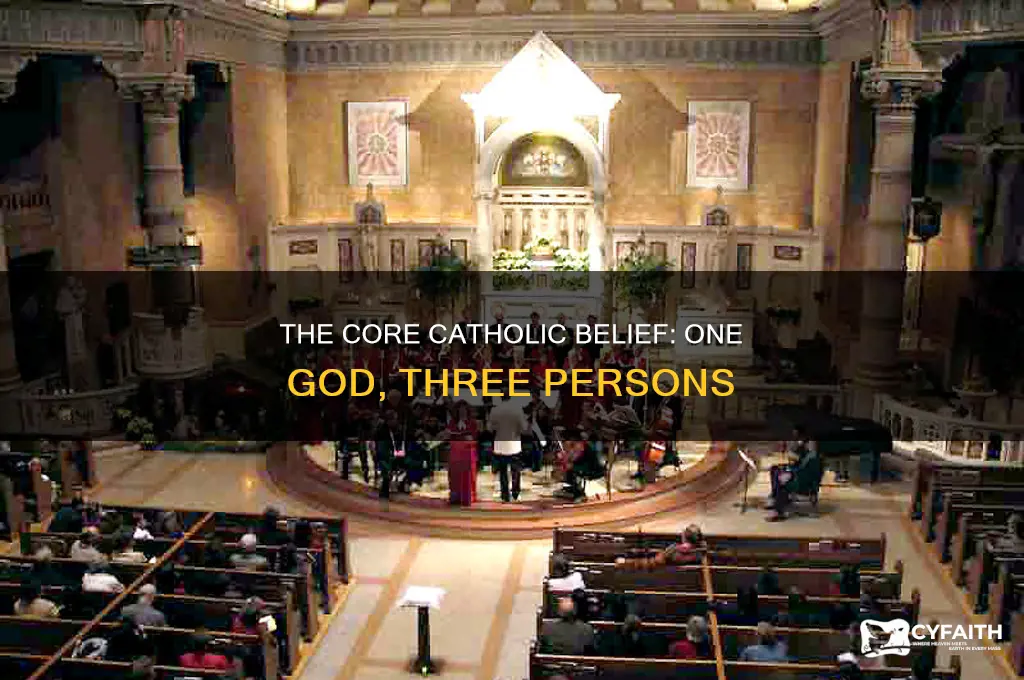 what is the main belief of catholics