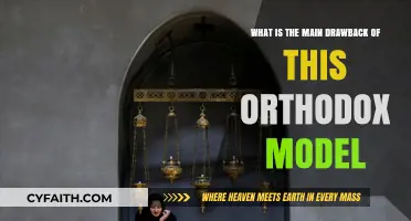 Orthodox Model's Critical Flaw: Uncovering Its Major Limitation