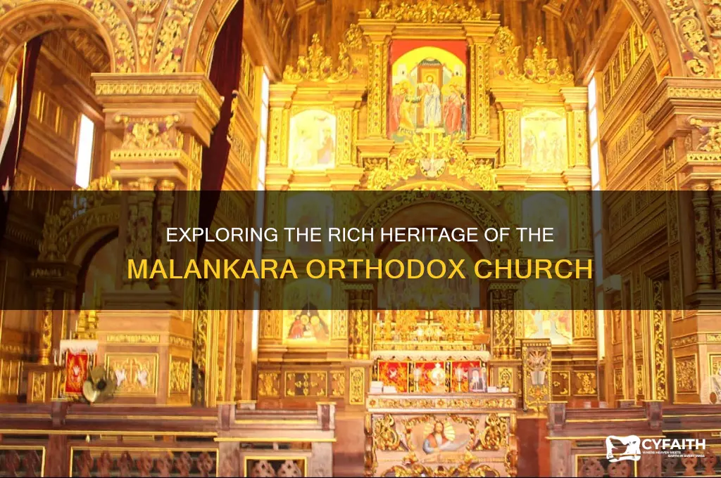 what is the malankara orthodox church