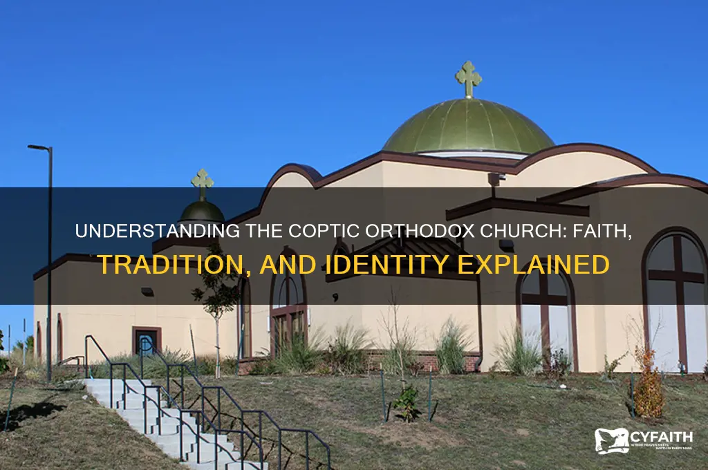 what is the meaning of coptic orthodox
