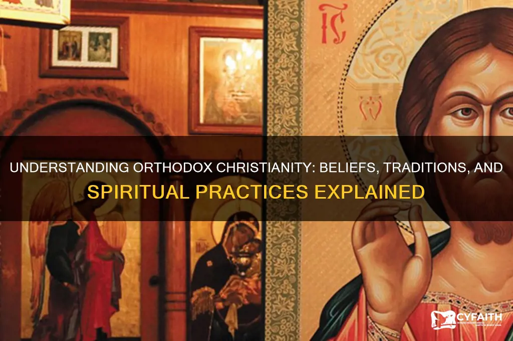 what is the meaning of orthodox christian