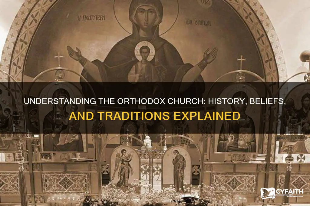 what is the meaning of orthodox church