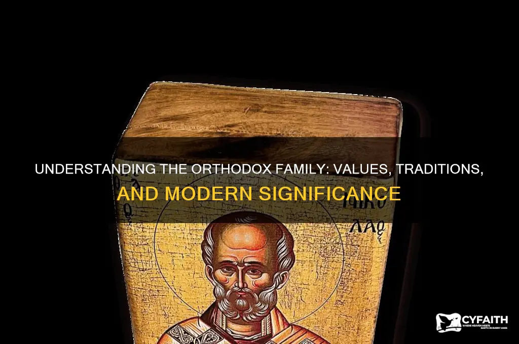 what is the meaning of orthodox family