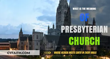 Understanding the Presbyterian Church: Beliefs, Structure, and Practices Explained